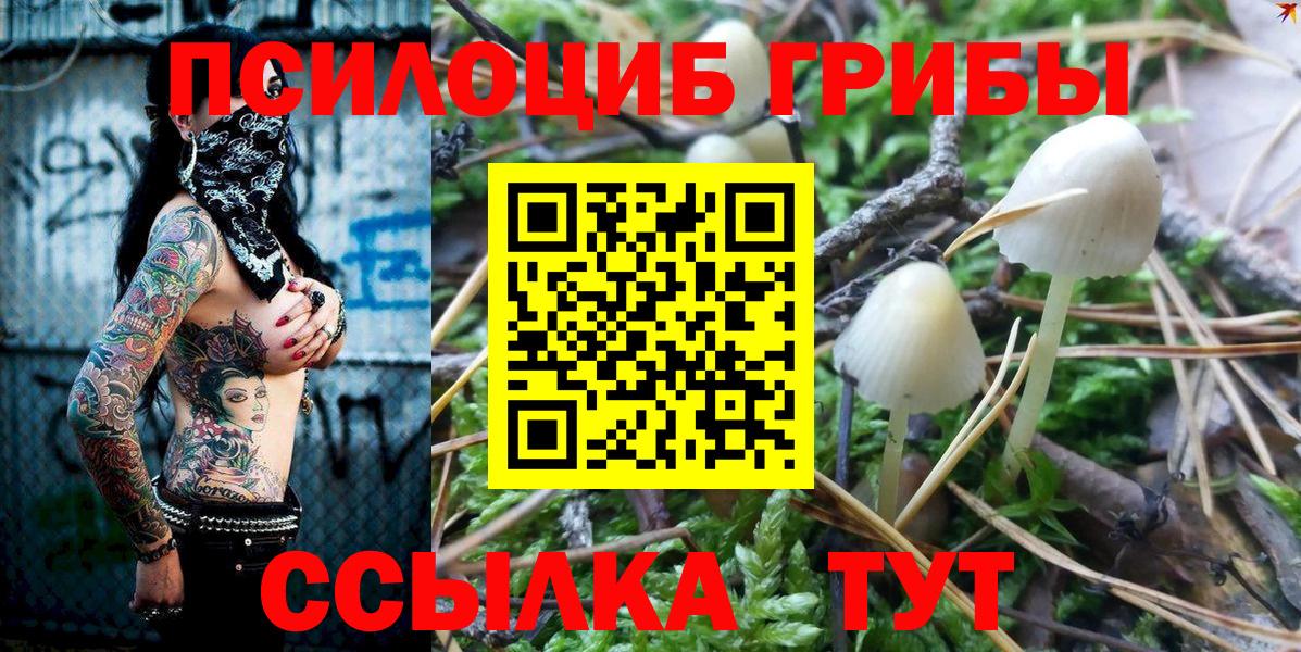 Галлюциногенные грибы мухоморы  Галлюциногенные грибы Psilocybine cubensis  Вход с VPN  купить наркотики сайты  Сунжа 